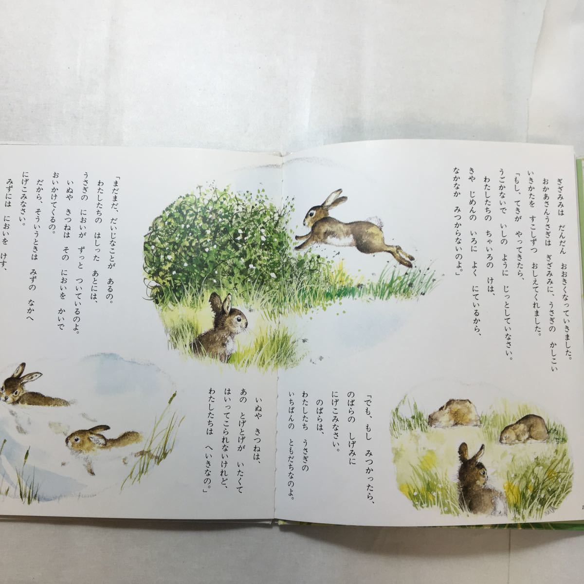zaa-261 絵本版シートン動物記 2-1 ぎざみみぼうや (チャイルド zaa-261 絵本版シートン動物記 2-1 ぎざみみぼうや (チャイルド