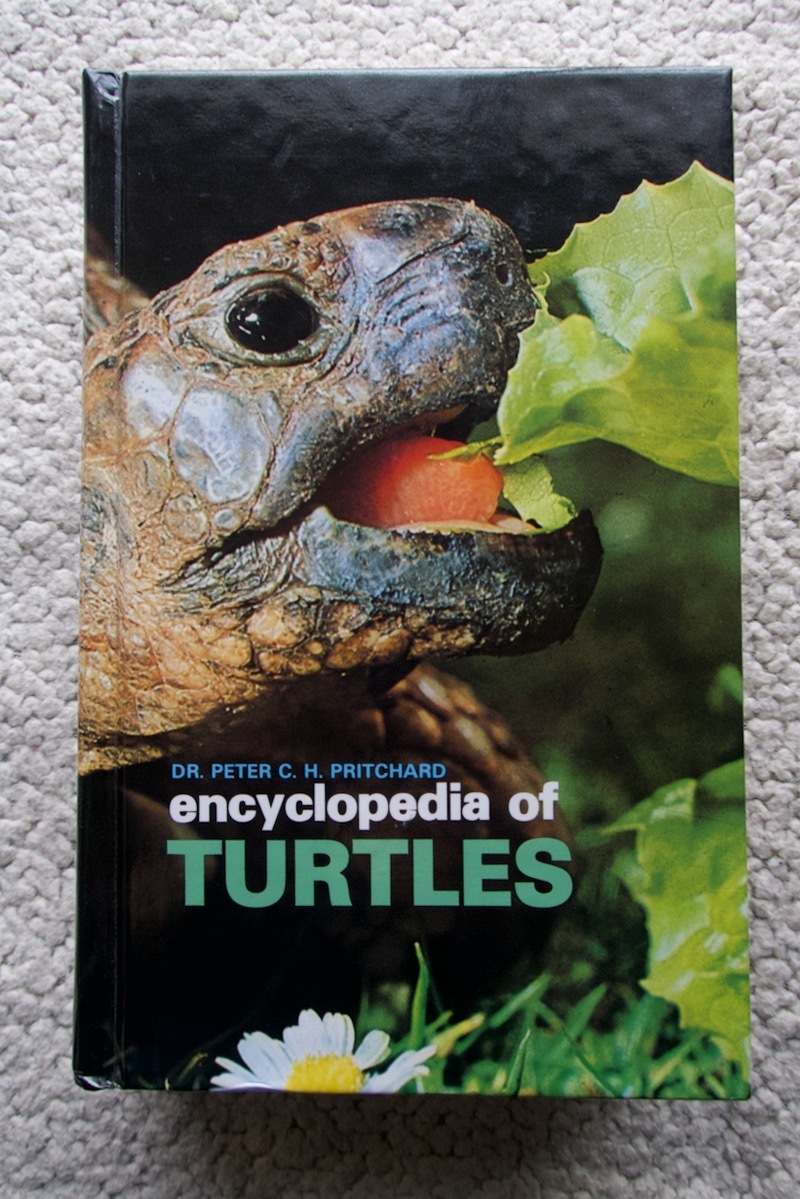 保証書付】 Turtles of Encyclopedia (Tfh 亀☆ 洋書 Inc) Pubns 洋書