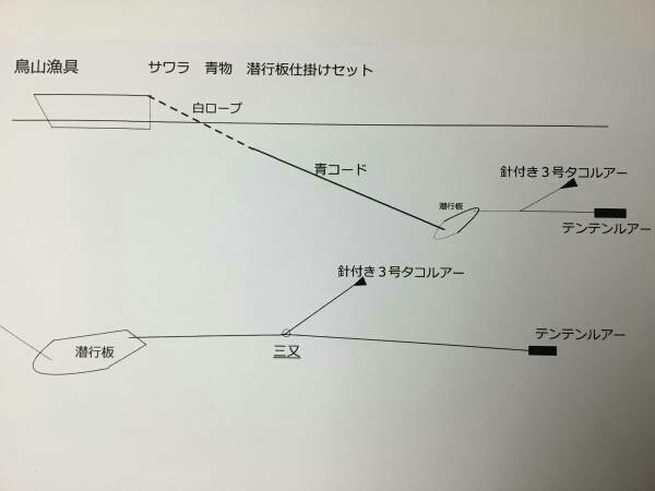 日本未発売】 カツオトローリング曳縄潜行板仕掛け2個セット その他