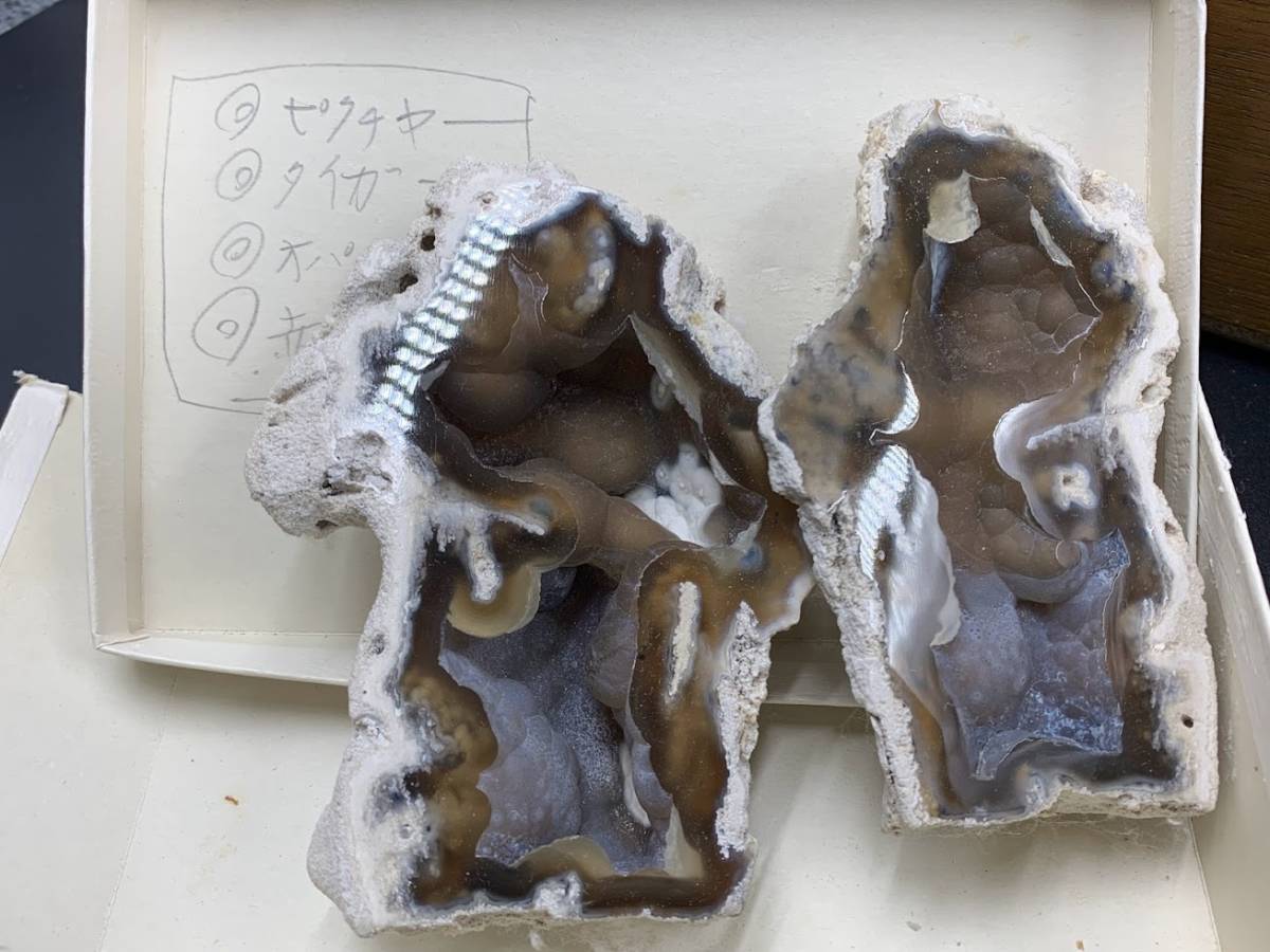 【 化石 鉱石 貝殻 など 大量まとめ ④ 】海外 石 時代物 コレクション インテリア 資料 太古_画像2