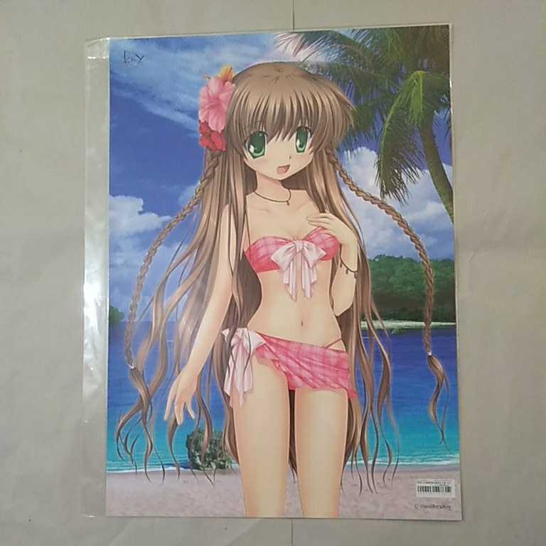 VA購買部出張所2011夏 Rewrite リライト 神戸小鳥 水着 お風呂 ポスター 未開封新品 持ち折れ多数・ビニール痛みあり Key_画像1