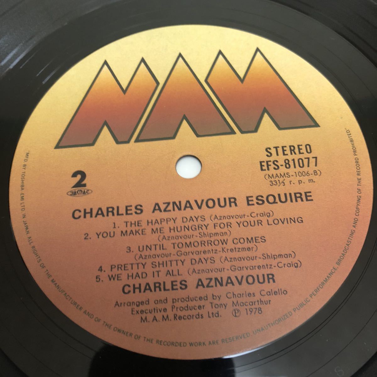 【国内盤帯付】Charles Aznavour　シャルルアズナブール 薔薇の肖像 / LP レコード / EFS81077 / ライナー有 / 洋楽ポップス /_画像10