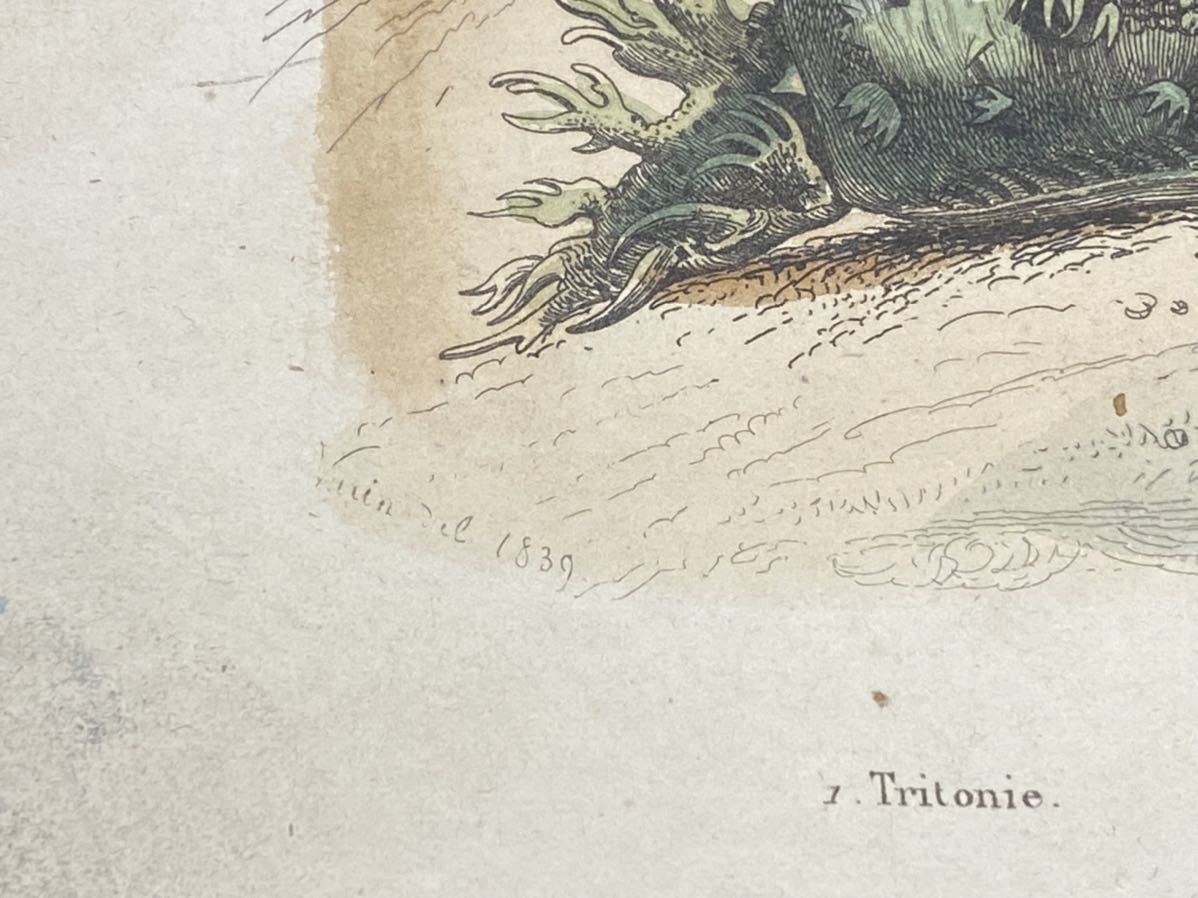 [Troglodyte] France antique . thing . hand coloring copperplate engraving 