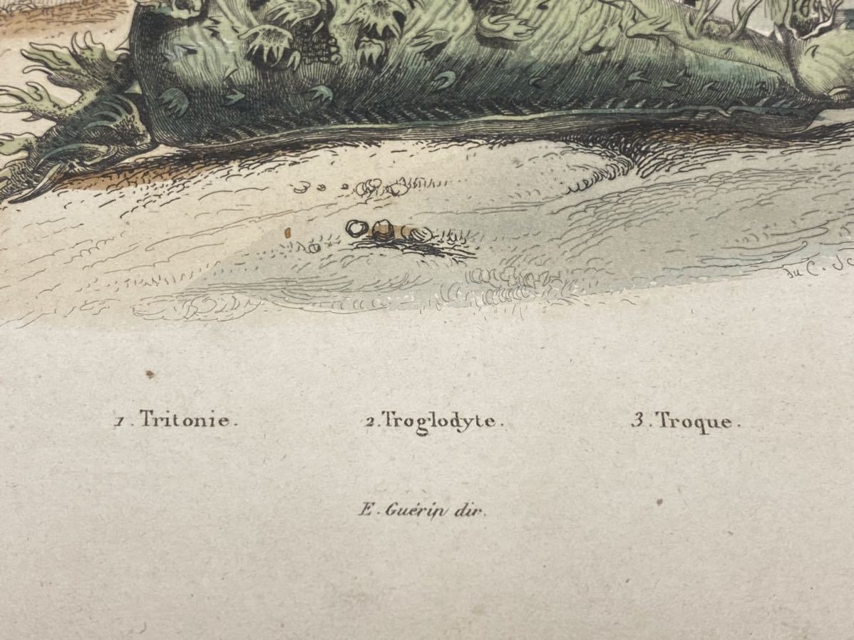 [Troglodyte] France antique . thing . hand coloring copperplate engraving 