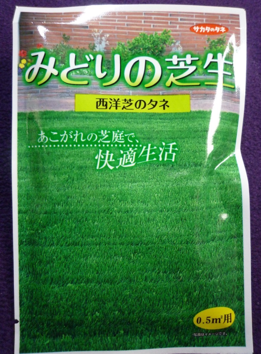 種子 処分 みどりの芝生 西洋芝のタネ サカタのタネ 21 10 ３種類の芝種子をブレンド ゆうパケット便可能