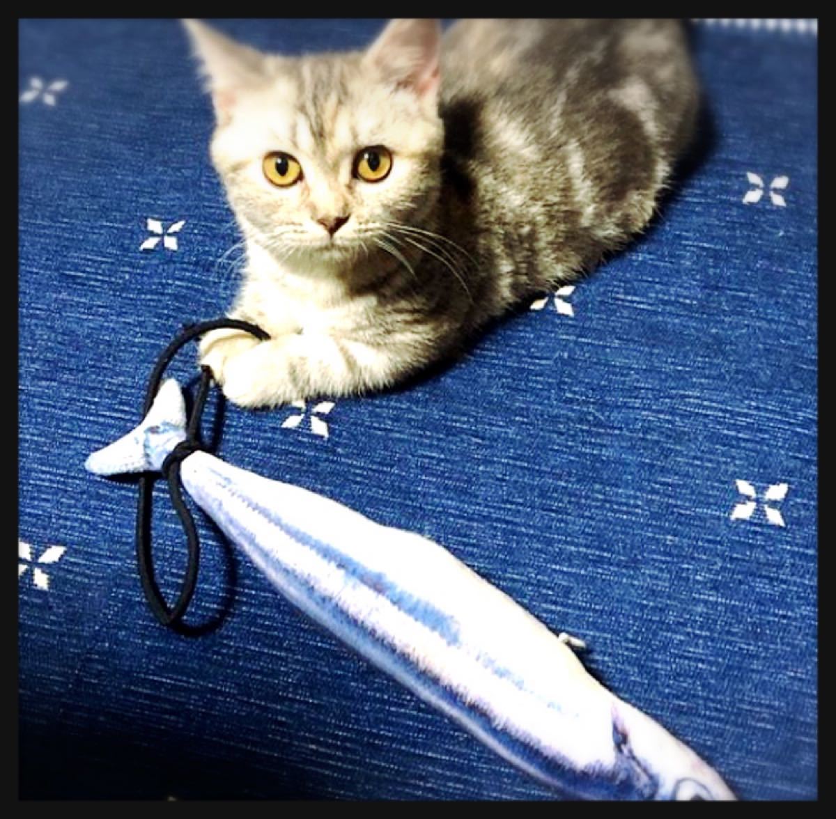 猫☆おもちゃ☆魚 ☆キッカルー☆さんま☆さば☆蹴りぐるみ☆2種セット☆猫じゃらし