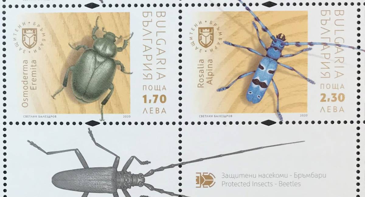 ブルガリア 2020年発行 昆虫 切手 未使用 NH_画像2