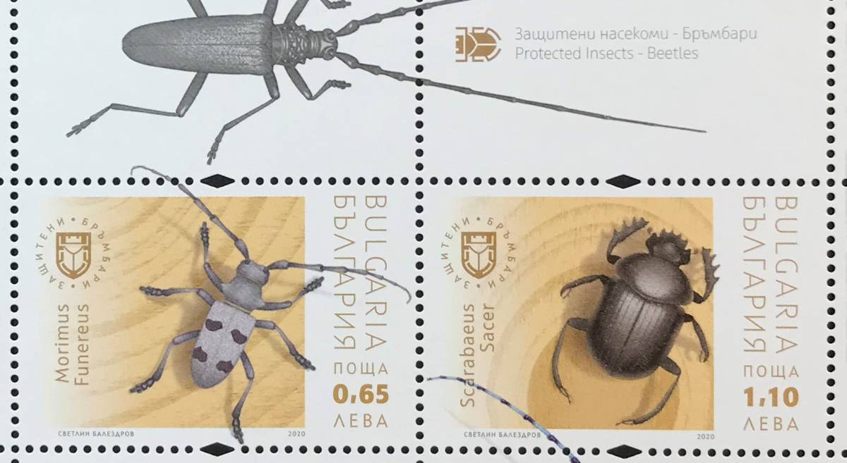 ブルガリア 2020年発行 昆虫 切手 未使用 NH_画像3