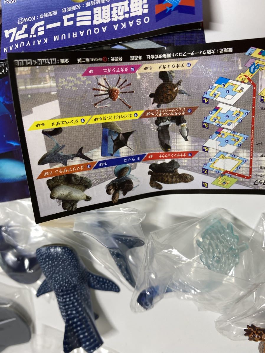 海遊館ミュージアム 初期 全8種 台座無し版 ガチャ フィギュア ネイチャーテクニカラー オオサンショウウオ タカアシガニ 他_画像2