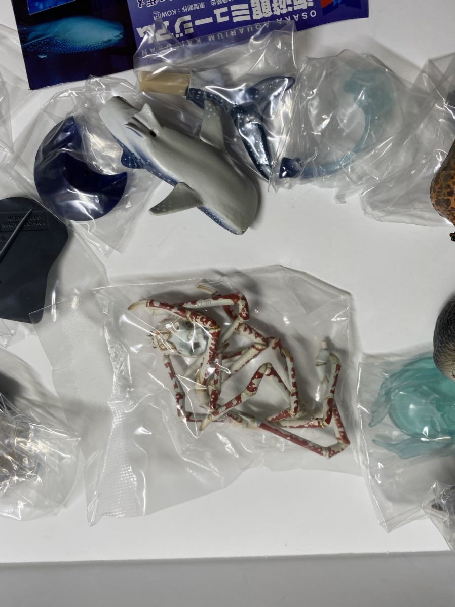 海遊館ミュージアム 初期 全8種 台座無し版 ガチャ フィギュア ネイチャーテクニカラー オオサンショウウオ タカアシガニ 他_画像9