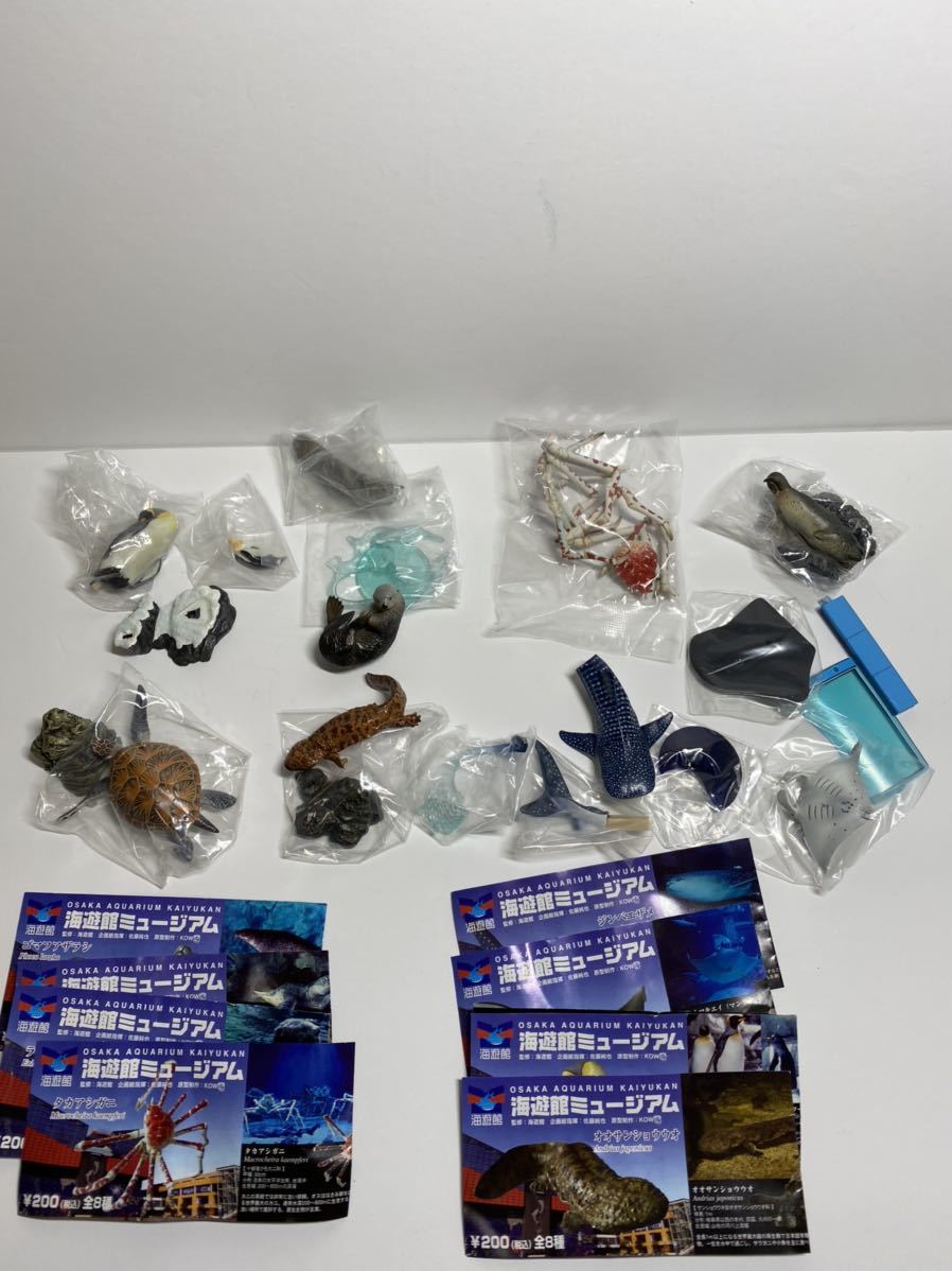 海外最新 海遊館ミュージアム タカアシガニ 他 初期 全8種 台座無し版 ガチャ フィギュア ネイチャーテクニカラー オオサンショウウオ 生き物