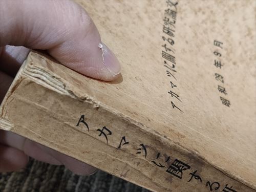 即決】アカマツに関する研究論文集 昭和29年 検索)マツタケ 松茸 林業 スギハムシ(ウスイロサルハムシ) 穿孔虫 - 環境 即決】アカマツに関する研究論文集 昭和29年 検索)マツタケ 松茸 林業 スギハムシ(ウスイロサルハムシ) 穿孔虫 - 環境