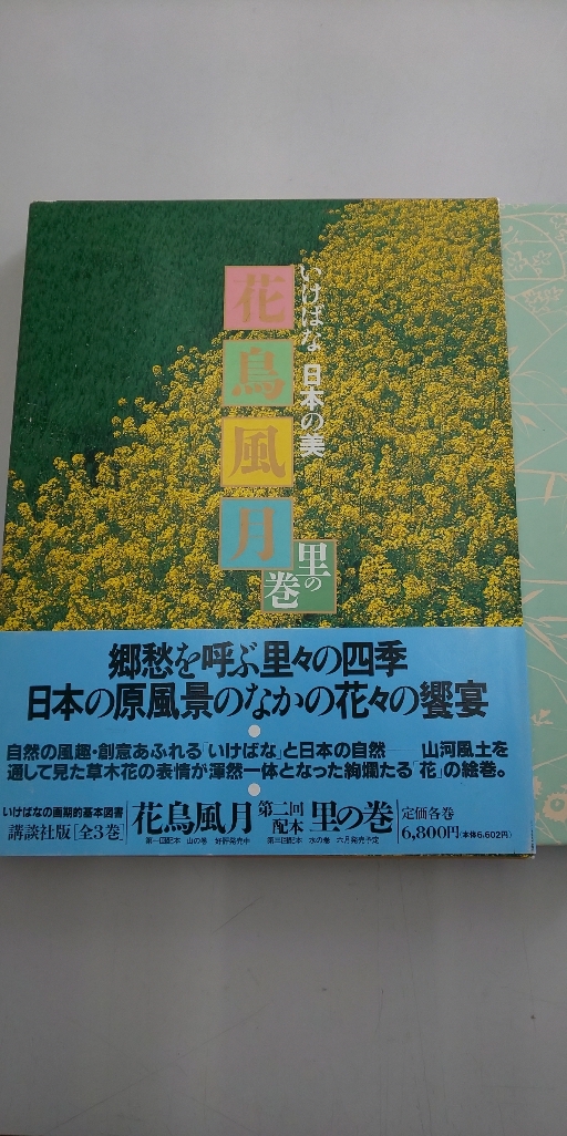 ■古本■　いけばな 日本の美　花鳥風月 里の巻　講談社_画像1