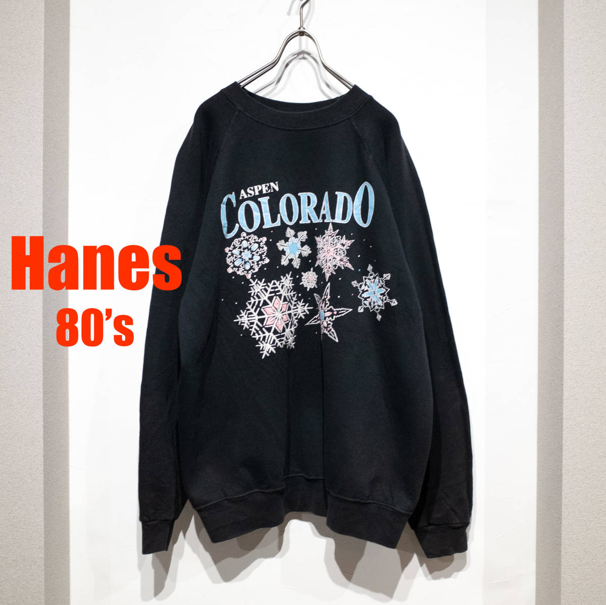 XL / 80's Hanes ヘインズ 青タグ USA生地 ジャマイカ製 COLORADO 雪