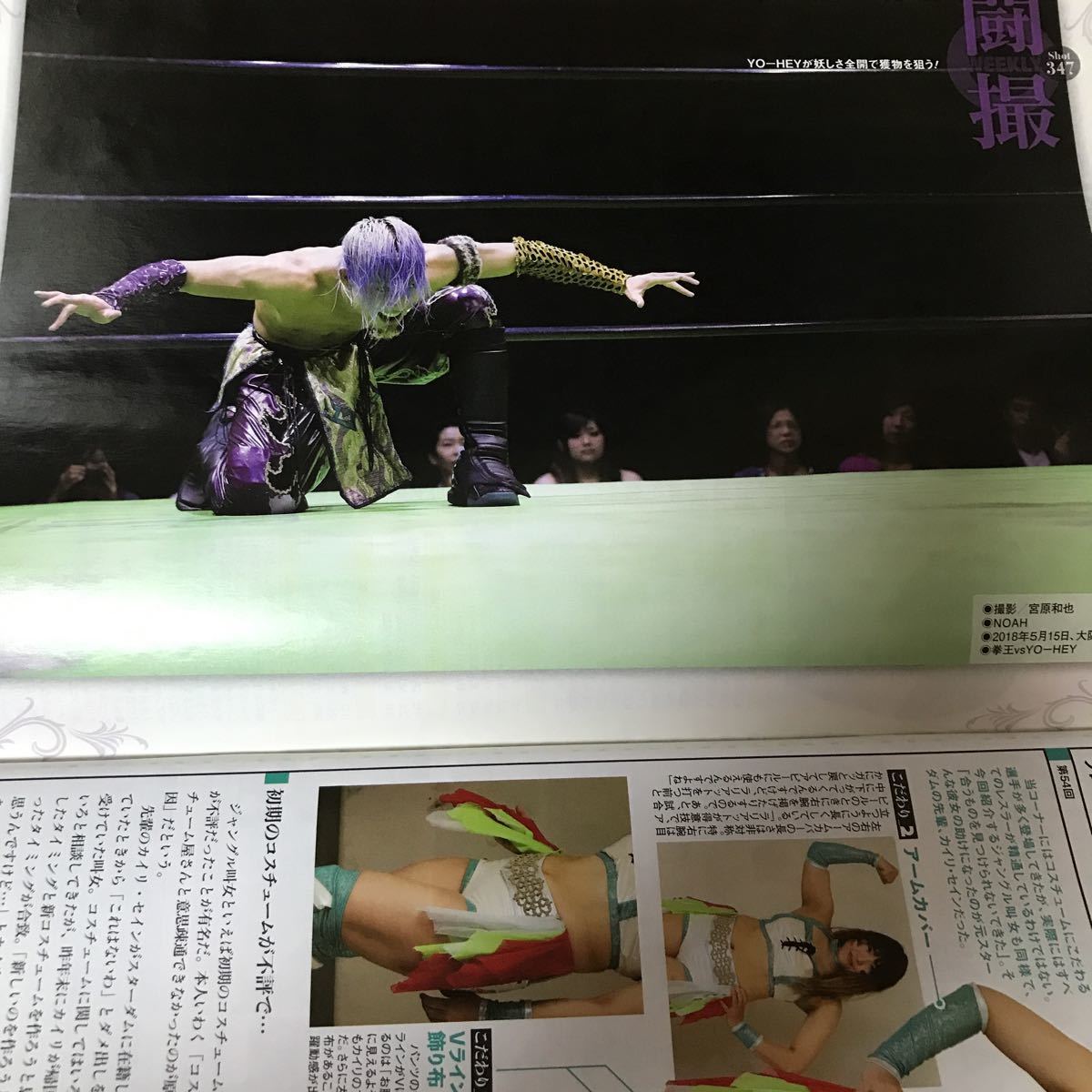 ヤフオク 週刊プロレス 18 6 9 ケニー オメガ オカダ ヤフオク 週刊プロレス 18 6 9 ケニー オメガ オカダ
