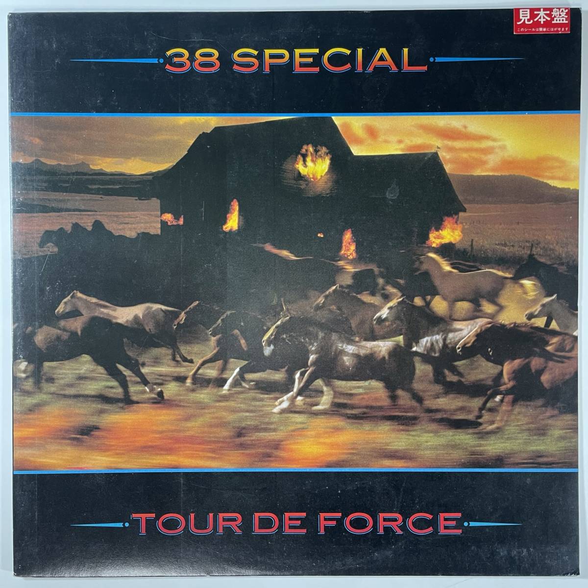 4790 【プロモ盤】★美盤 38 Special/Tour De Force_画像1