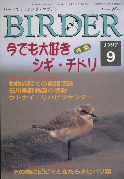 ■Birder バーダー 1997.9　［特集：今でも大好き　シギ・チドリ］_画像1