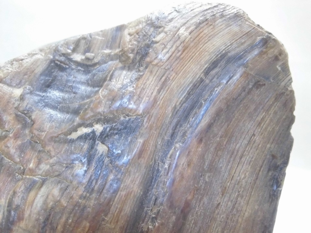 鑑賞石 天然石 黒珪化木 木化石 木目鮮明 木製台付 約4.1Kg D932 パワーストーン ペトリファイドウッド 盆景