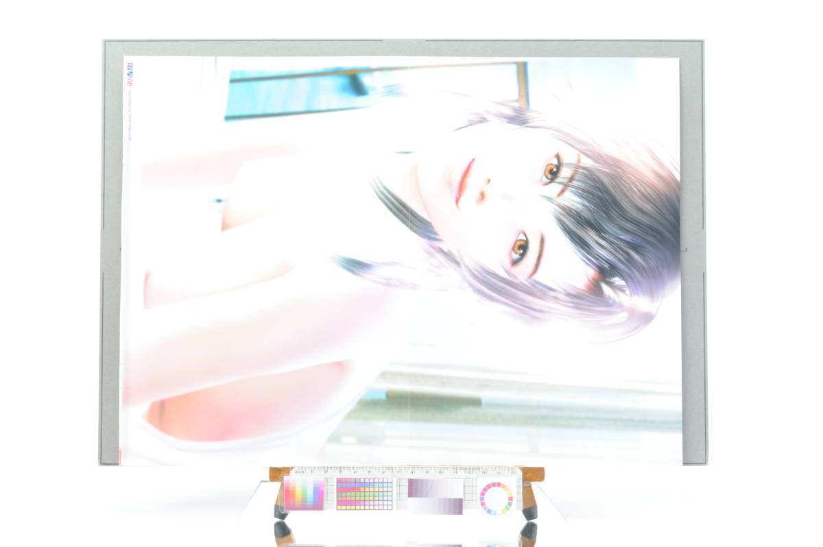 [Delivery Free]1990s Dengeki-Hime Game Girl A3 Pin-Up(Asuka Pyon/Illusion Soft)電撃姫A3 飛鳥ぴょん/イリュージョンソフト[tag電撃姫]_画像2