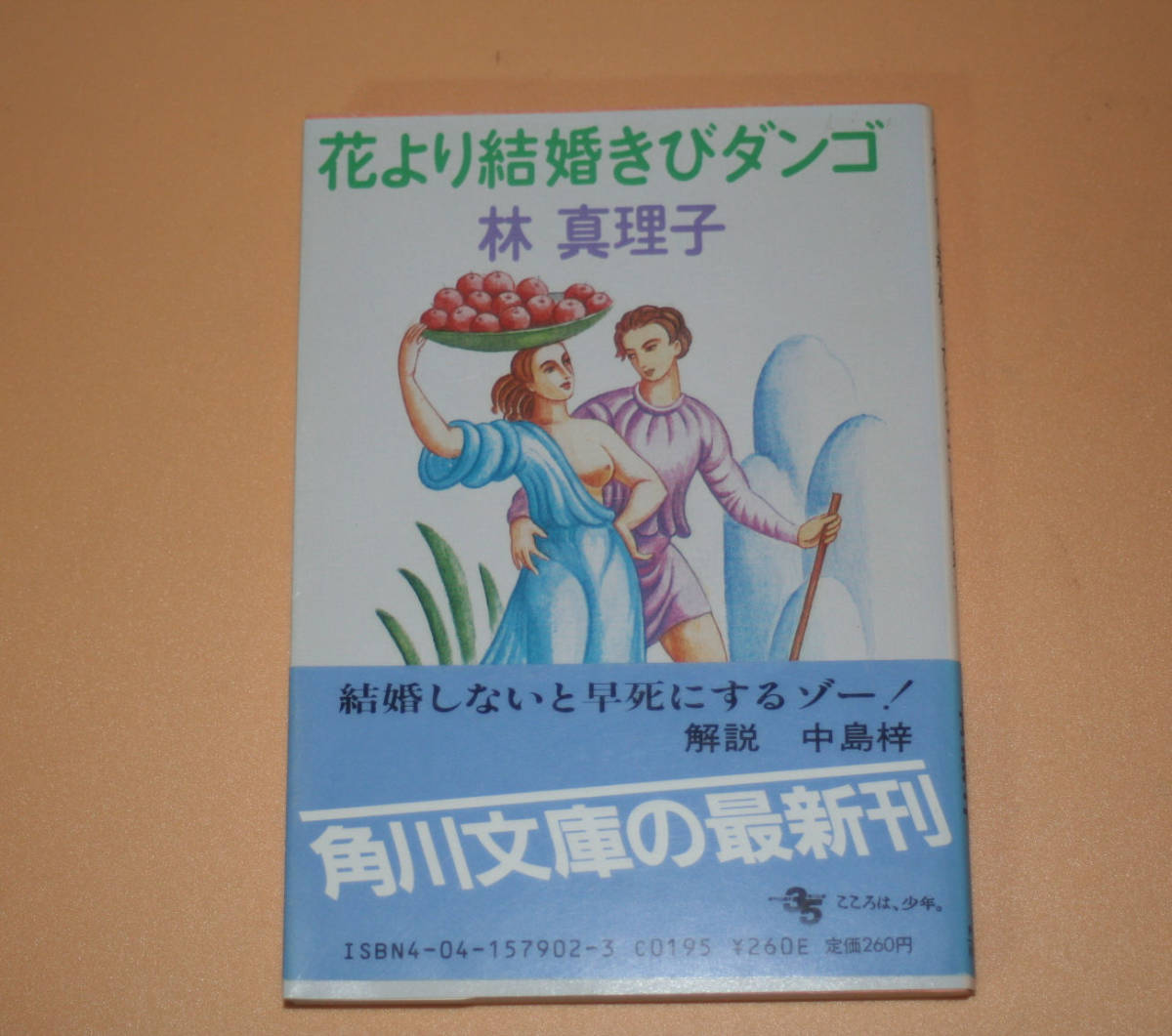 花より結婚きびダンゴ 林真理子 角川文庫 初版 送料全国一律１９８円 同梱可