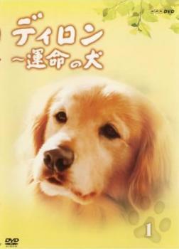 ディロン 運命の犬 1(第1話～第3話) レンタル落ち 中古 DVD テレビドラマ_画像1