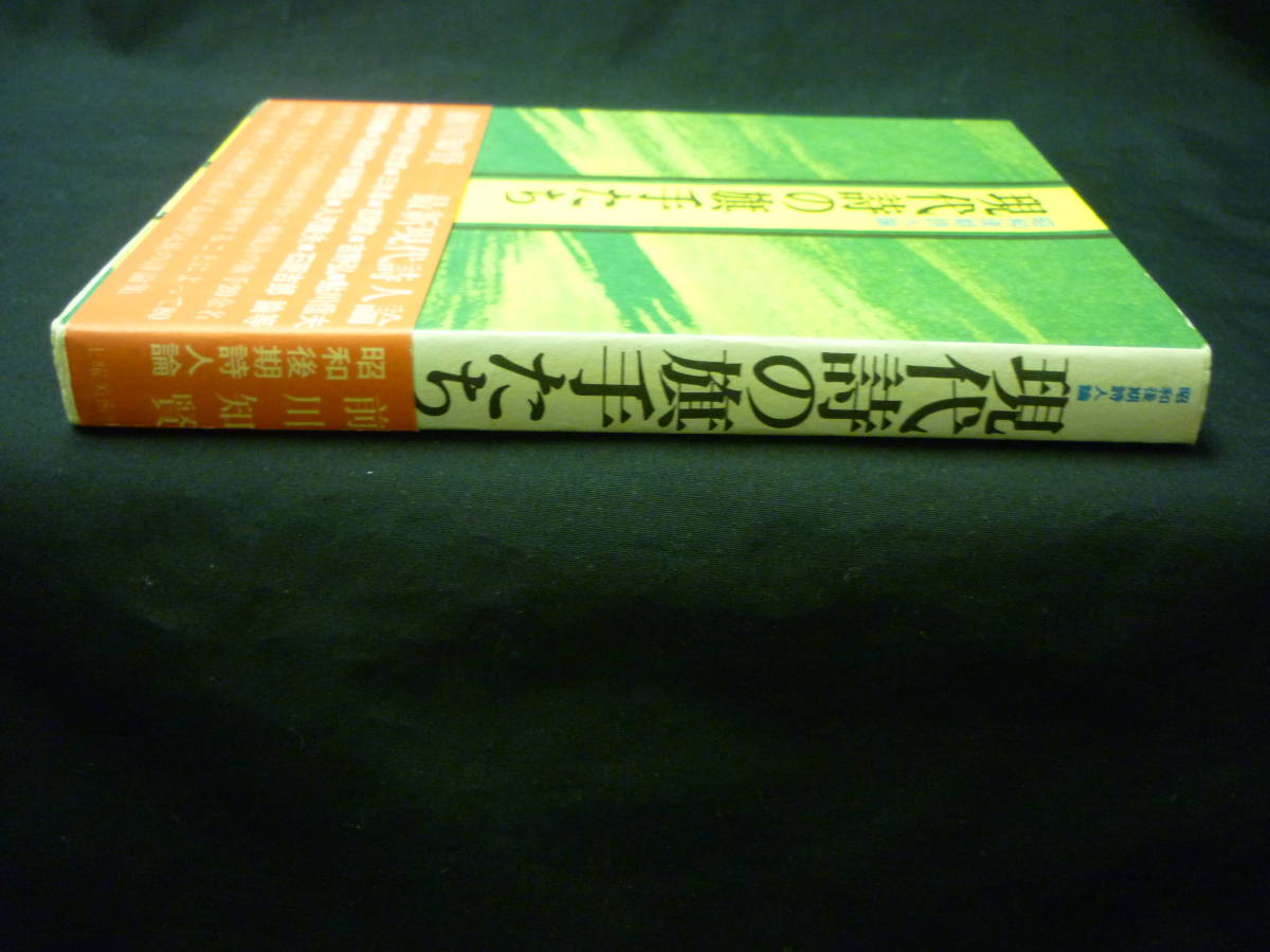 昭和後期詩人論 現代詩の旗手たち★前川知賢★1980年★初版帯付■26/8_画像3