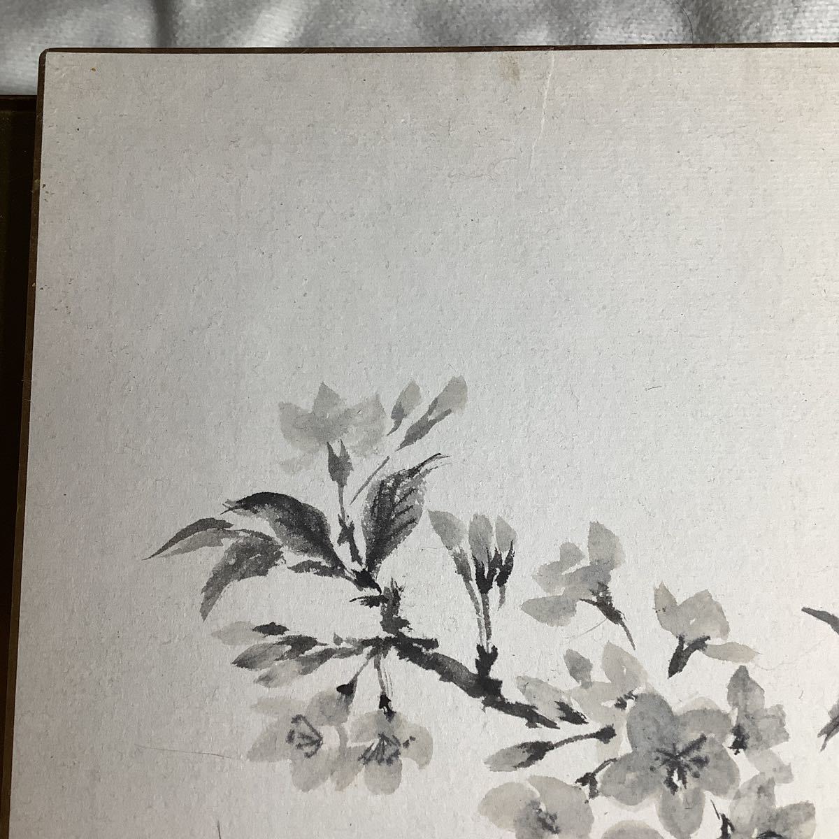 色紙 500円以上複数で10％商品オマケ 横24縦27cm 墨絵 桜の木 作者