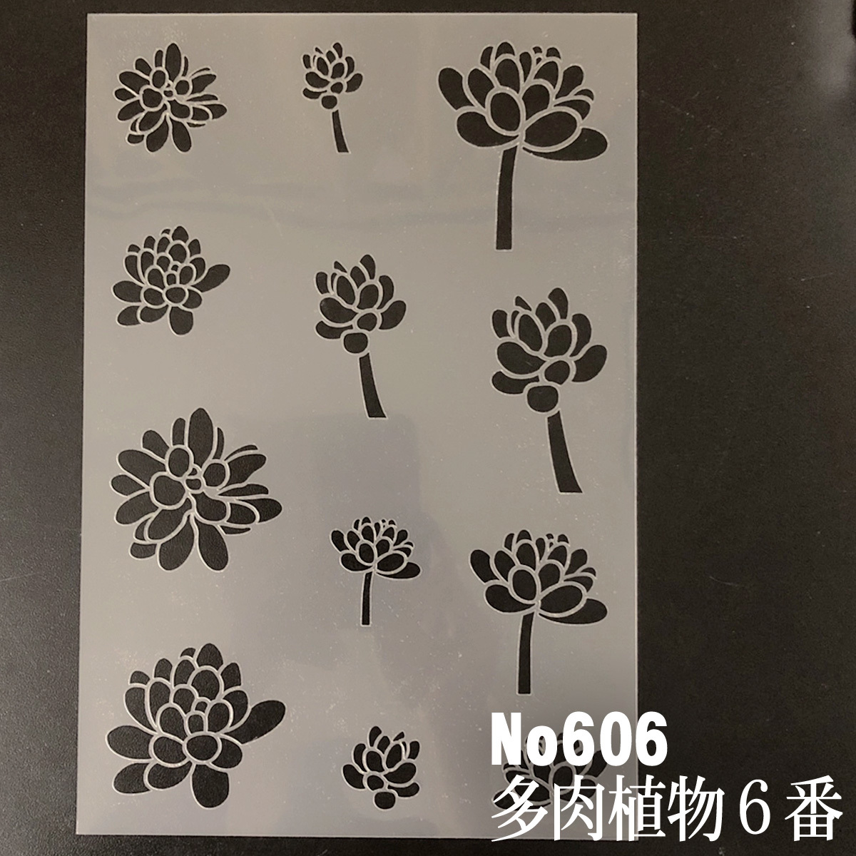 ☆多肉植物6番　虹の玉イラスト　NO606　 ステンシルシート　型紙図案_画像1