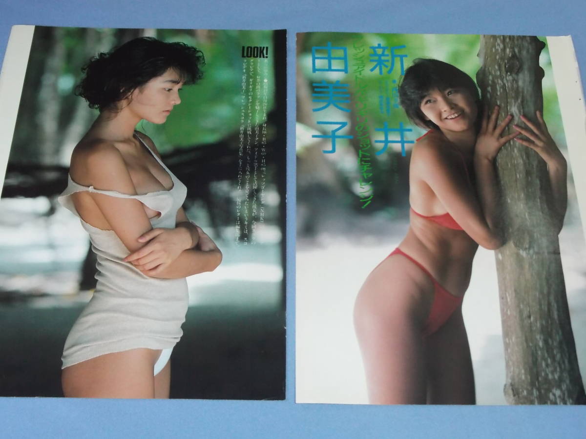 新井由美子 雑誌切り抜き Yahoo!オークション - 新井由美子 切り抜き 4P