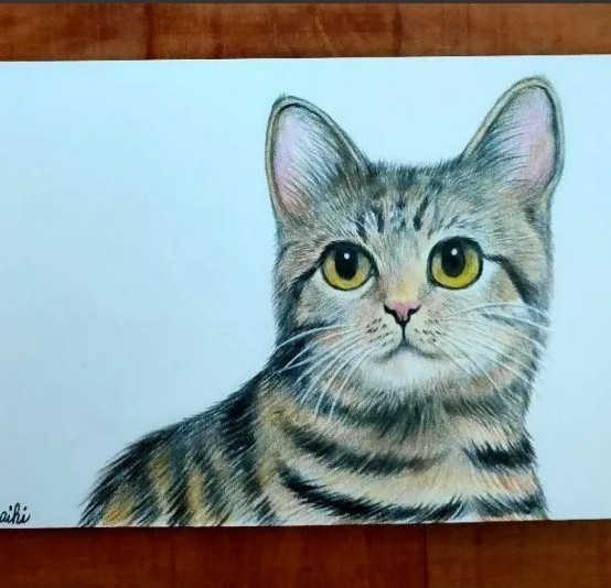 キジトラ猫色鉛筆画|Yahoo!フリマ(旧PayPayフリマ) キジトラ猫色鉛筆画|Yahoo!フリマ(旧PayPayフリマ)
