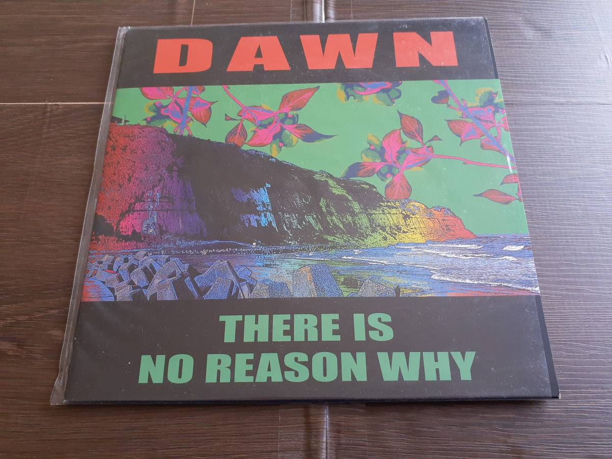 L3186*10inch / DAWN / THERE IS NO REASON WHY