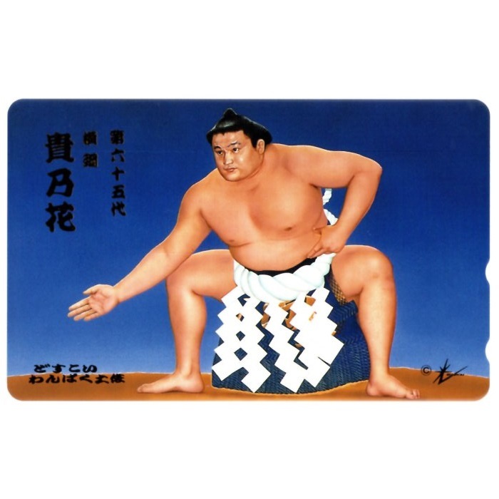 テレホンカード 第六十五代横綱 貴乃花 どすこいわんぱく土俵 50 テレホンカード 第六十五代横綱 貴乃花 どすこいわんぱく土俵 50