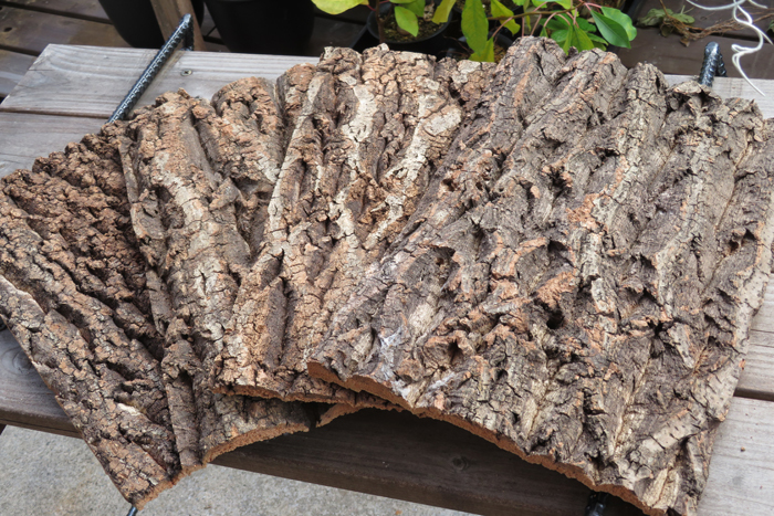 10枚　樹皮　コルク板　20×30ｃｍ（厚約10ｍｍ以下）洋蘭　原種　チランジア　エアープランツ　熱帯植物　ラン　コルク　樹皮　_画像1
