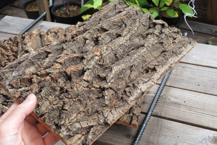 5枚　樹皮　コルク板　20×30ｃｍ（厚約10ｍｍ以下）洋蘭　原種　チランジア　エアープランツ　熱帯植物　ラン　コルク　樹皮　_画像2
