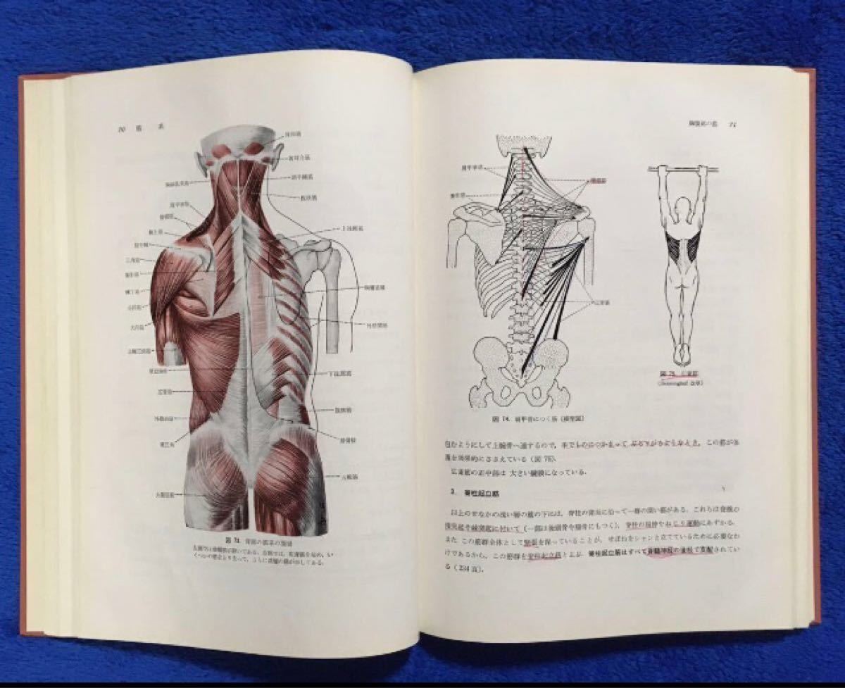 入門 人体解剖学 新潟大学教授 藤田恒夫著 医学書|Yahoo!フリマ 入門 人体解剖学 新潟大学教授 藤田恒夫著 医学書|Yahoo!フリマ