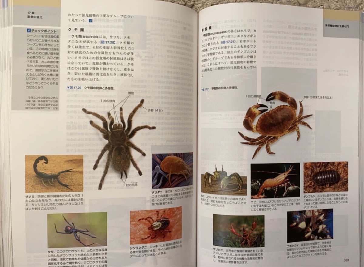 キャンベル 生物学　図鑑　生物　専門書　生物オリンピック　生物学オリンピック