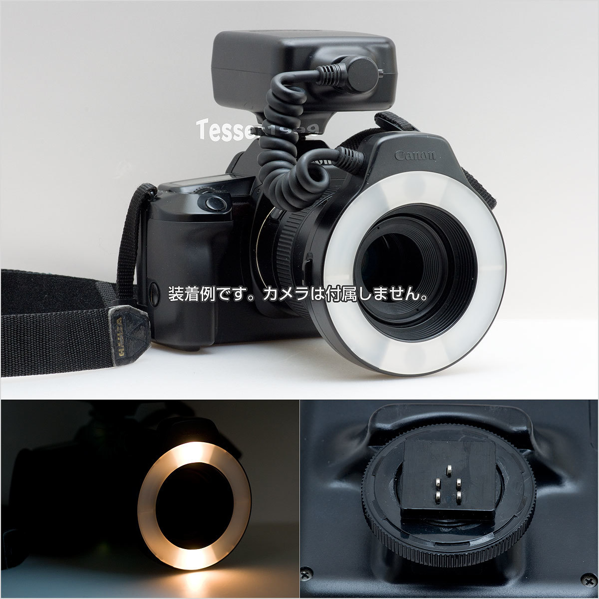 12419円 送料無料 Canon フラッシュマイクロリングライト MR-14EX