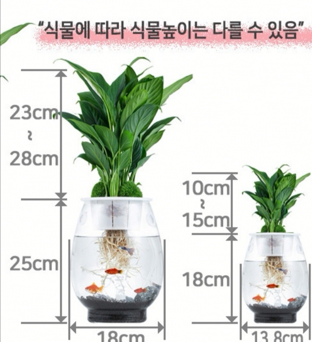 アキュポット(AQUPOT) S　金魚鉢+植木鉢　加湿と空気清浄効果!!　韓国