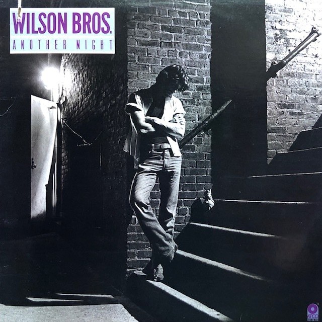 Wilson Bros. - Another Night（盤面良！）　　　　LP, Album US 1979 Soul-Jazz, Soft Rock, Pop Rock, Funk_画像1