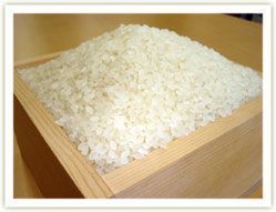 ***令和3年産　新潟こしひかり精白4kg/特別栽培米減農薬・減化学肥料栽培_画像3