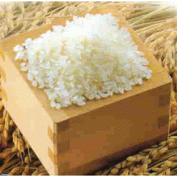 ***特別栽培米/令和3年産佐賀夢しずく減農薬・減化学肥精白米4kg_画像4