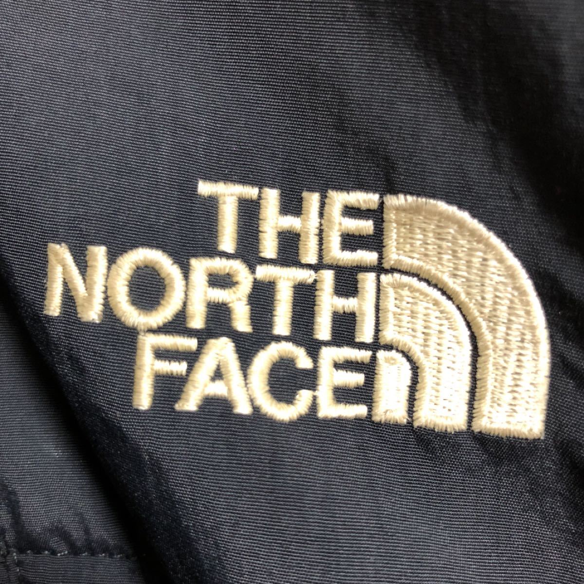 THE NORTH FACE デナリ　フリースジャケット　メキシコ製　メンズMサイズ