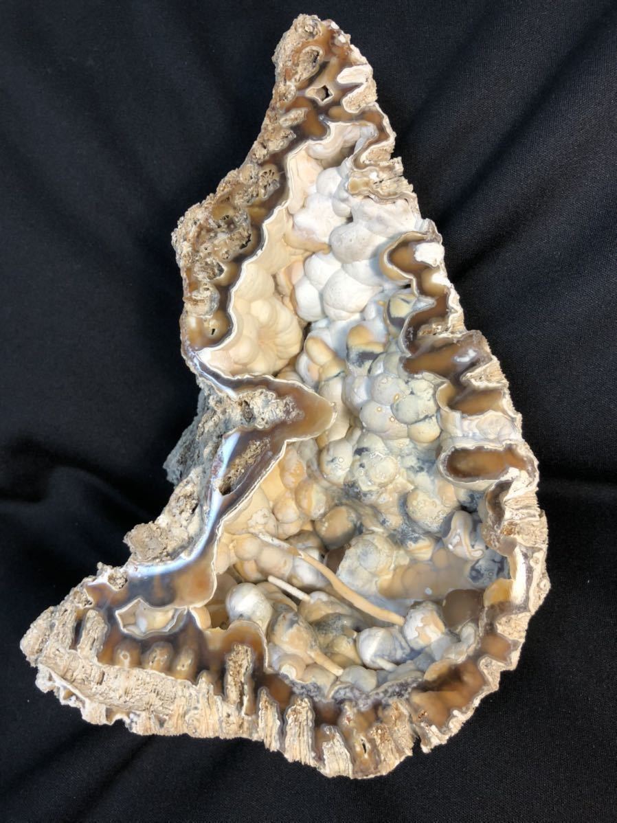 超レア品　超美品　珊瑚の化石 1.7kg　② 原石