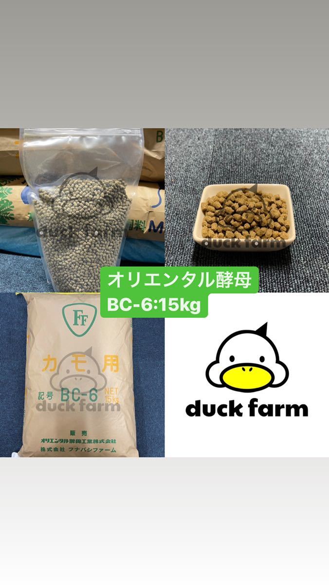 15kg 送料無料 BC-6 小分け売り相談可 〈コールダック・水鳥全般 15kg 送料無料 BC-6 小分け売り相談可 〈コールダック・水鳥全般