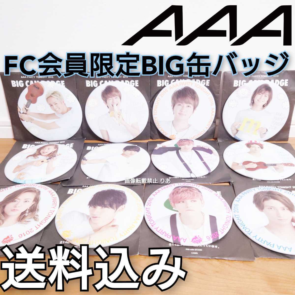 【送料込み】１個６５０円計算 ファンクラブ会員限定 AAA APT BIG缶バッジ １２種 Nissy SKY-HI 與真司郎 宇野実彩子 末吉秀太