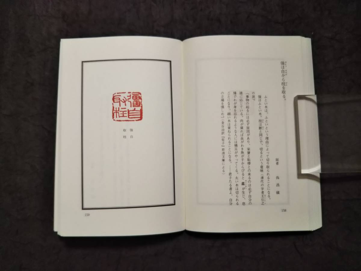 中国の遊印 検索:印譜 和紙 朱印存 封泥 古印社 篆刻 金石印 石鼓文 篆