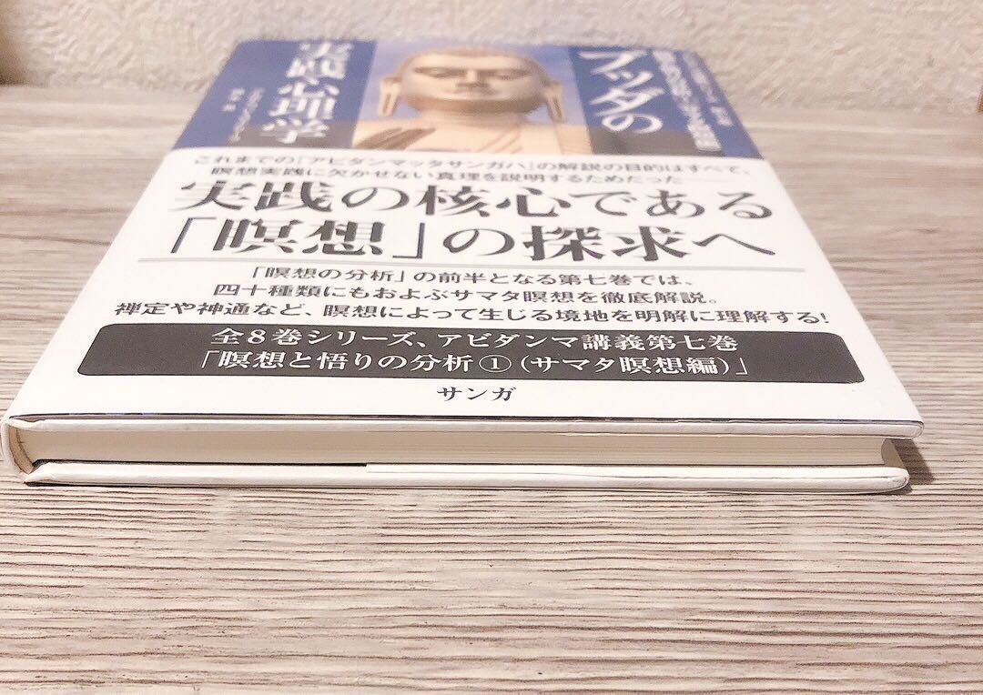 ブッダの実践心理学 第7巻 アビダンマ講義シリーズ瞑想と悟りの分析 ブッダの実践心理学 第7巻 アビダンマ講義シリーズ瞑想と悟りの分析