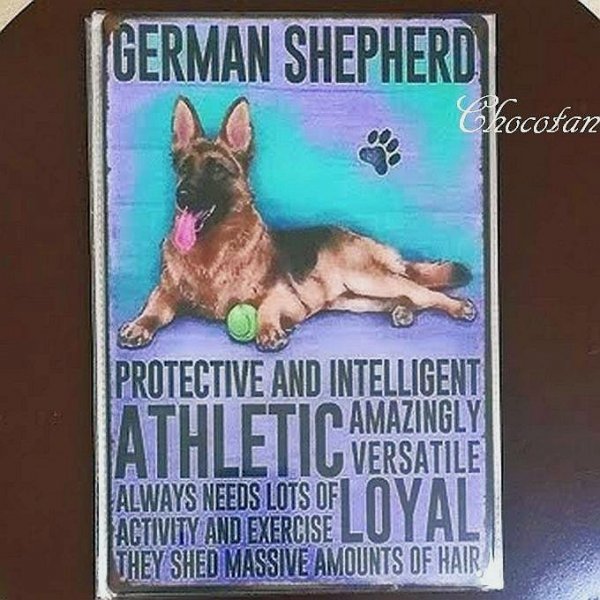 [ free shipping ] German shepherd ① dog kind metal autograph plate metal signboard [ new goods ]