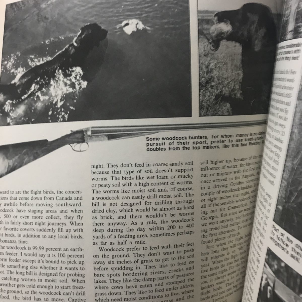 同梱取置歓迎古洋書「HUNTING 1984 ANNUAL」銃鉄砲武器兵器ハンティングライフルショットガン_画像8