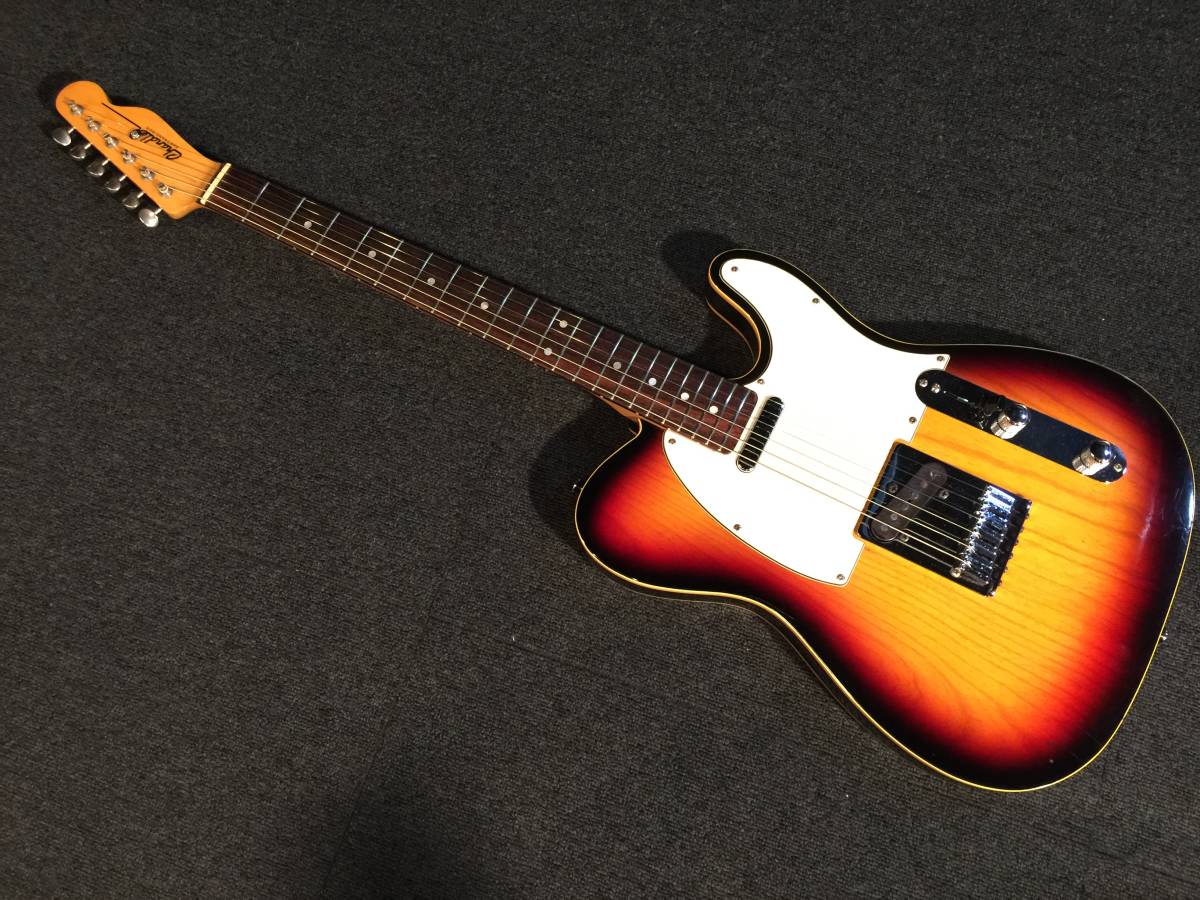 FENDER アメプロ1 Stratocaster Body オールラッカー - 楽器/器材